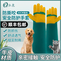  Anti-bite gloves anti-dog bite anti-cat scratch training dog training pet anti-scratch scratch hold cat dog training bath