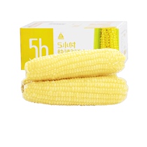 Tianqin grains Net fresh organic sweet waxy corn cob Non-GMO 10 boxes sticky old vacuum whole grain breakfast