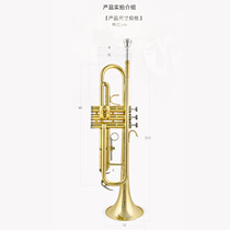 Small musical instrument students beginners specialized in playing paint - gold small instrument playing the trumpet musical piece