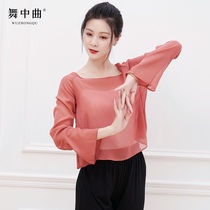  Classical dance clothes Elegant gauze tops Modern classical national body rhyme yoga clothes Performance training elegant chiffon