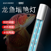 Fish tank lamp dragon fish LED light aquarium waterproof and energy-saving wide-angle lighting super bright three-color diving light
