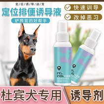 Dubin Dog Special Dog Induction of Toilet Fluid Guide Urine Agent Targeted Pet Defecation Toilet on the toilet Toilet Pull