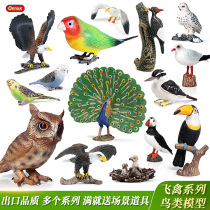 Childrens simulation animal bird model toy parrot eagle sea eagle Owl Peacock woodpecker plastic ornaments