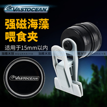 Aquarium supplies strong magnetic seaweed feeding clip seaweed clip strong magnetic power vegetable clip seaweed clip mini seaweed clip