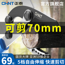 Chint Tai pruning branches scissors fruit tree shears strong scissors garden rough branches high branch shears strong shear flower branches gardening tools