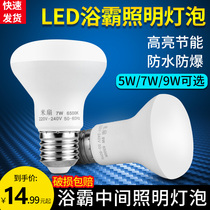 Yuba LED lighting bulb 5W9W middle waterproof and explosion-proof light source bathroom 275w heating E27 screw small light