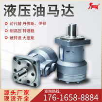 Hydraulic motor Low speed high torque positive and negative oil motor BMR-80 100 200 400 Cycloid motor assembly