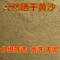 Graded selection of yellow sand natural river sand multi-meat worthy soil sandy fish tank bottom sand turtle hibernating yellow sand bulk
