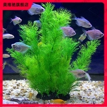 Ovichi fish tank decorative aquatic plants set ecological fake flowers a variety of landscaping plastic kelp grass aquarium seaweed
