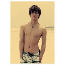 Matsuzaka peach plum poster 225 models 13 postage photos wall stickers hanging picture a5a06a87
