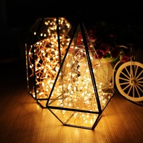 LED light Button battery Copper wire waterproof string light Colorful light Flashing light Star light Gift box Small light bouquet decoration