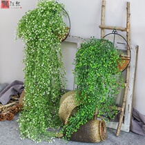 Simulation of Golden Bell Willow living room wall decoration interior green plant wall hanging flower fake Vine