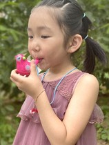 Whistles Children Toy Non-toxic Water Blown Bird whistles Whistle Small Bird Cute Whistle Harmonica Nursery Horn Water Flute