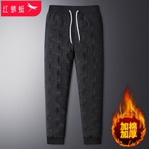 Red dragonfly down cotton pants male winter loose gush thicken thickened 2021 new anti-chill casual sports long pants