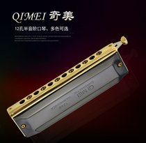 Chimei 12-hole 48-tone harmonica beginner students with C- key advanced adult professional performance