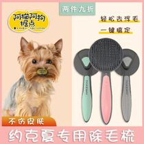 Yorkshire dedicated bristles comb pooch comb hair comb beauty stainless steel needle comb puppies to puppy pet cleaning