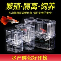 Double-grid small fish tank isolation box Guppy breeding box Acrylic floating incubation box tropical fish female fish litter