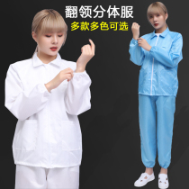 Summer dust-free clothing split blue and white protective clothing short electrostatic clothing mens and womens overalls food Dust Factory