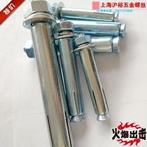Expansion screw galvanized expansion bolt Iron expansion M12M14M16 * 80*100*120*150*250*300