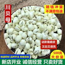 Selected authentic Chuan Fritillaria 500g non-Zhe Beiping Bei special-grade wild scrub leather sulfur-free new goods Fritillaria powder