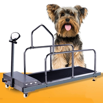 Training treadmill pet treadmill dog dog dog treadmill animal training