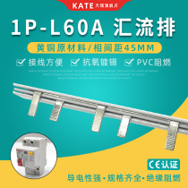 1P leakage 60A electrical bus brass DZ47 air-open connection row 45mm pitch single-phase circuit breaker wiring