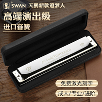Swan Dreamcatcher 2409 Polyphonic 24-hole harmonica Beginner adult CABDEFG Advanced professional performance performance level