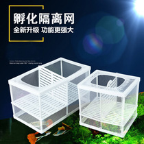 Crystal Shrimp Separator Propagation Box Freshly Isolated Isolated Case Trig Breeding Tropical Fish Production House Hatchbox Small