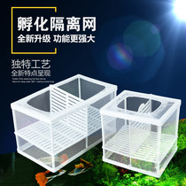 Fish Tank Aquarium Isolators Isolated Box Mesh Incubators Peacock Fish Mini Parrot Breeding Boxes