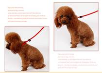 Dog Rope Small Dog Dog Chain Sub Teddy Aladog Traction Rope Gold Wool Large Canine P Chain P Rope Pet Item Ring