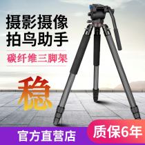 Extreme photographer SC3240 large pipe diameter professional bird carbon fiber tripod SLR camera bracket pan tilt