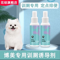 Boomey special training Puppy Upper toilet Targeted Defecation Inducers Pet Bowels to boot anti-glitch