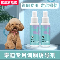 Teddy special small dog teaching dogs on the toilet anti-pee pets bowels inducers Targeted Defecation Supplies