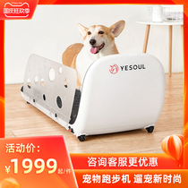 YESOUL Wild Beast Pet Treadmill home sports mute cat dog training machine Q1 dog treadmill