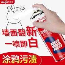 The skin of the mending wall falls off the old wall ceiling renovation renovation ugliness artifact repair decontamination white wall a painted household