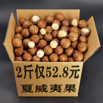 Macadamia nut 500g Bulk cream flavor original dried fruit kernels Summer fruit 5 kg FCL 5 kg snack combination nuts