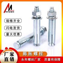 National Standard Galvanized Expansion Bolt Pull Blast Expansion Tube M6M8M10M12-M22
