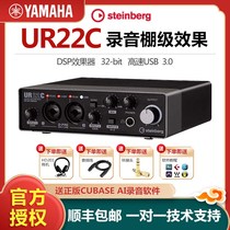 UR22C computer recording arrangement dubbing live electric guitar instrument professional external sound card
