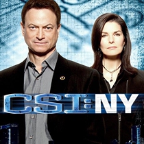 American drama Crime Scene Investigation: New York 1-9 season word 1080p send 250 mobile hard drive