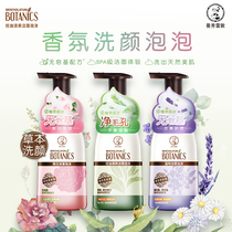 Mandy Herbal Cleansing Series Mild Cleanser Foam Lavender Cleanser Moisture and Mild 160ml