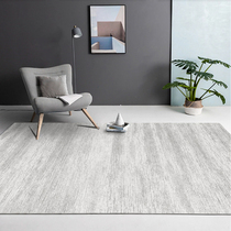 Nordic Light Lavish Grey Carpet Living-room Sofa Tea Table Mat Bedroom Full Laid minimalist Home Large Carpet Customizable