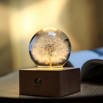 Dandelion specimen crystal ball night light ornaments children creative birthday send girlfriend teacher Tanabata Valentines Day gift