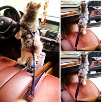 Dog travel supplies car special small dog car pet dog seat belt Teddy law fight than bear safety buckle