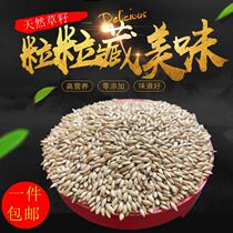Imported Ghanaizi Parrot bird food bird food tip millet white tip millet canary yellow bird feed 5kg