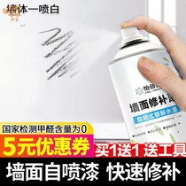 Repair Wall Paste White Tonic Home Wall Wall Repair Remedial Wall Paste Finish Paint Spray Reinforcement Paste Putty Powder