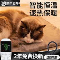 Kitty Electric Blanket Nest Thermostatic Cat Cat With Heating Pad Dog Special Insulated Electric Bedding Sub Fever Pet Warmer