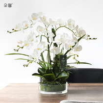 Nordic light luxury simulation flower phalaenopsis high-end 2020 new living room potted finished fake flower desktop entrance placement