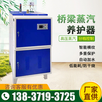 Bridge steam maintenance device fuel electric heating generator diesel environmental protection energy-saving boiler concrete steam curing machine