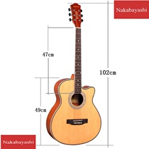 Spruce Acoustic Guitar 40-inch Folk Beginner Performance Guitar Bright Sabili Color Bar Guitar
