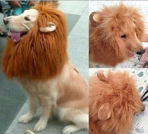 Top of the Jungle Pets turned into funny headgears Funny lion hats with ears Dog supplies